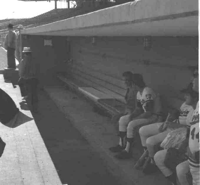 Photo Day: Twins dugout at Met Stadium (Source: LP, 1974)