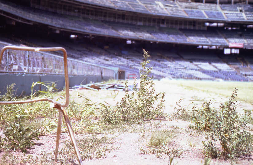Abandoned: Weeds in foul territory down the right field line (Source: Robin Hanson)
