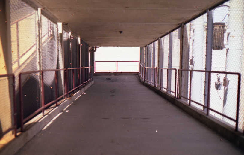 Abandoned: Main grandstand exit walkway (Source: Robin Hanson)